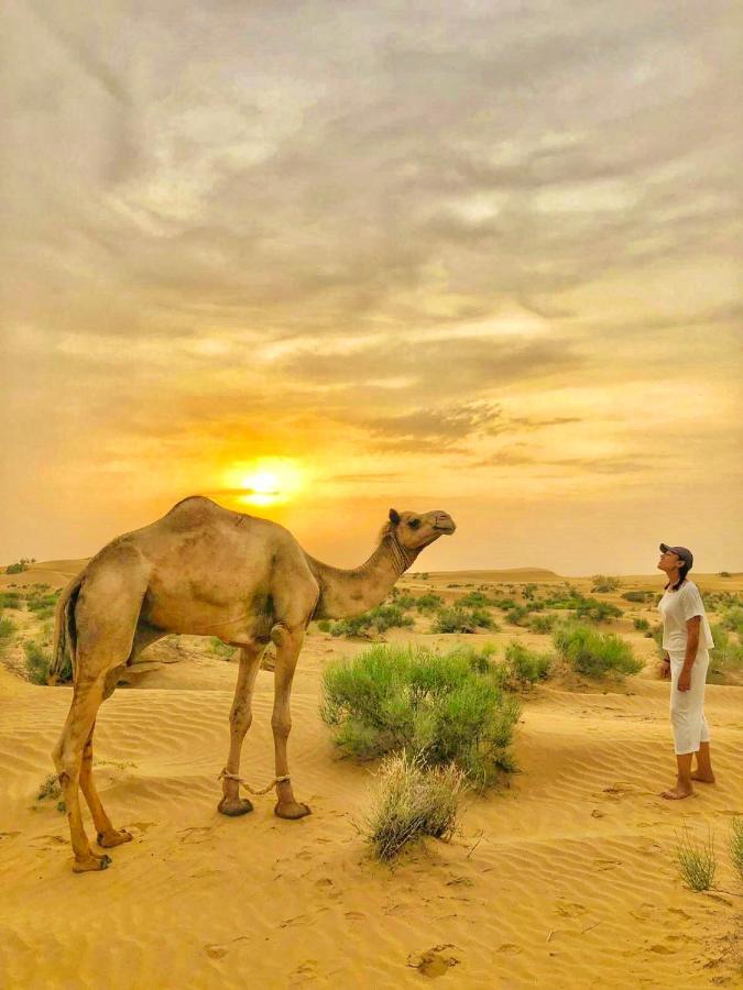 Hotel Desert Bloom Jaisalmer Eksteriør bilde