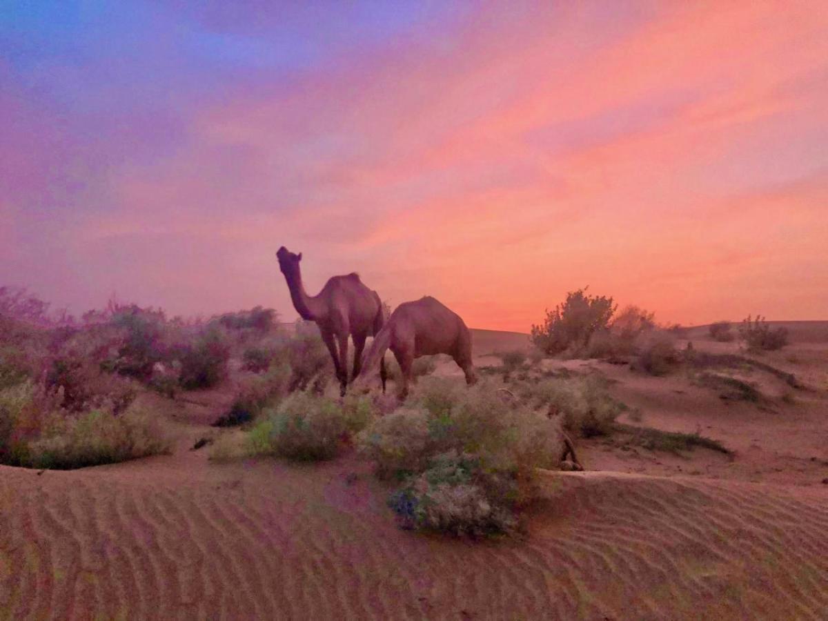 Hotel Desert Bloom Jaisalmer Eksteriør bilde